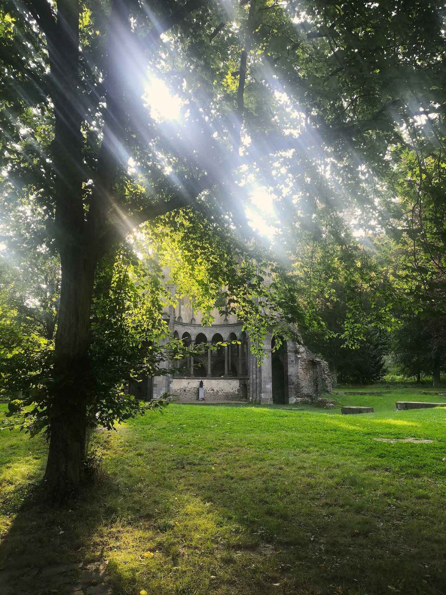 Heisterbach Abtei grün klein